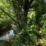 Recanto Da Ribeira * 蒙希克