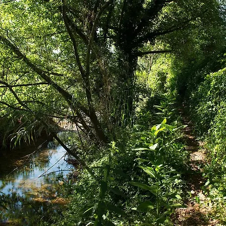 Recanto Da Ribeira * Monchique