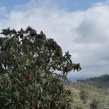 Recanto Da Ribeira Casa rural